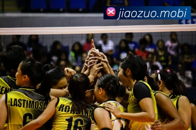 开云手机在线登陆入口平台生态图